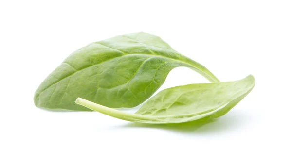 Spinach — Stock Photo, Image