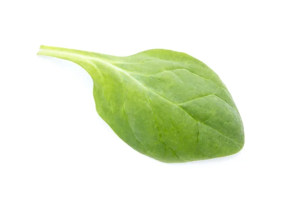 Spinach — Stock Photo, Image