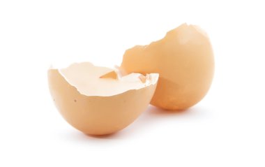 broken egg shell