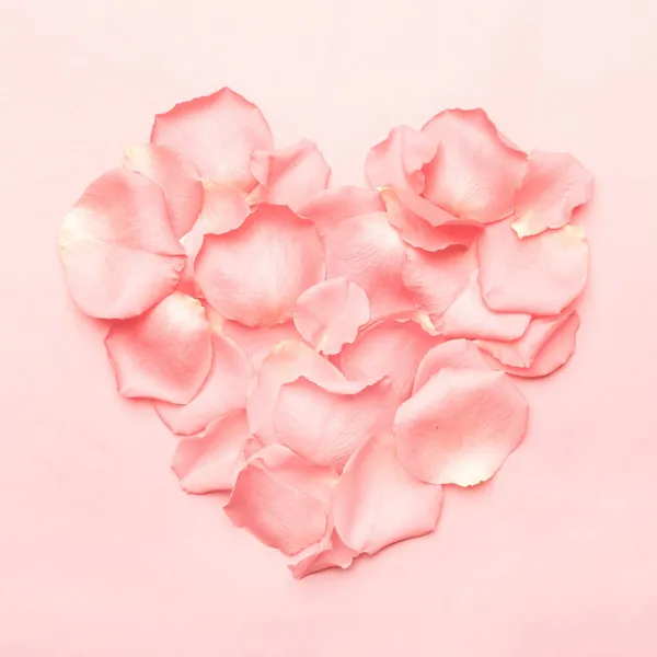 Koralle Rosenblütenblätter Herzform Auf Pastellfarbenem Hintergrund — Stockfoto