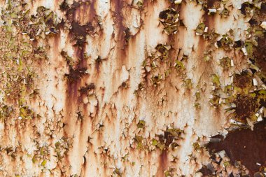 Old peeling paint on a rusty background