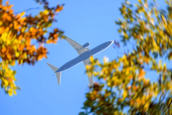 Kommersiella Flygplan Jetliner Flyger Ovanför Höst Färgglada Blad Resebegrepp — Stockfoto