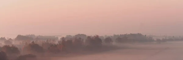 Güneşin Doğuşunda Sisli Bir Sabah Sonbahar Doğası — Stok fotoğraf