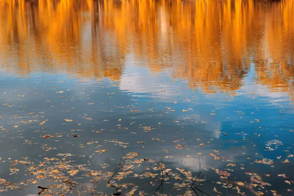 Goldener Herbstwald Der Sich Wasser Spiegelt Herbst Buntes Laub Hintergrund — Stockfoto