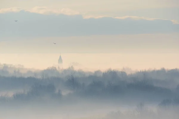 Los Contornos Los Árboles Iglesia Niebla Arrastrándose Paisaje Invierno —  Fotos de Stock