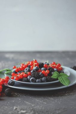 Taze yaban mersinleri, böğürtlen ve gri beton arka planda kırmızı frenk üzümü. Seçici odaklanma. Boşluğu kopyala