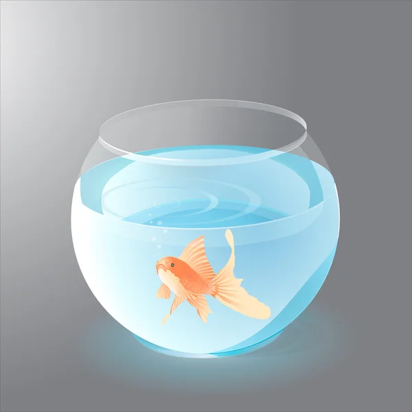 Vector Aquarium with Golden Fish — Stock Vector