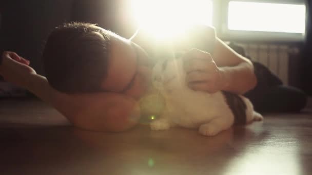 Bărbat Pisică Întinsă Podea Lumina Soarelui — Videoclip de stoc