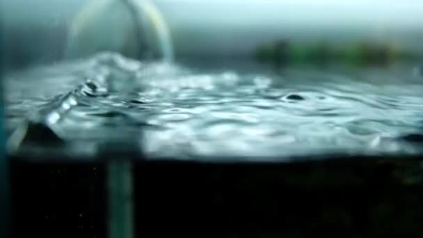 Akvaryumdaki Havası Akvaryumdaki Filtresi Kabarcıklar — Stok video