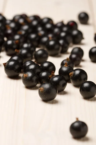 Berry of blackcurrant — Stock Photo, Image