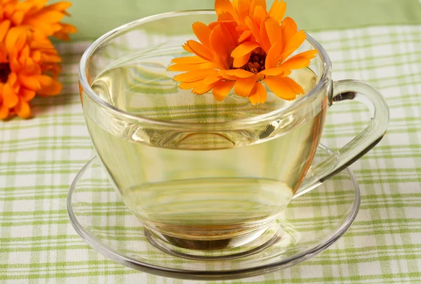 Herbal tea — Stock Photo, Image