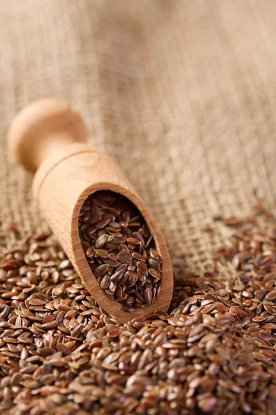 Flax seeds — Stock Photo, Image