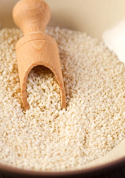 Sesame seeds — Stock Photo, Image