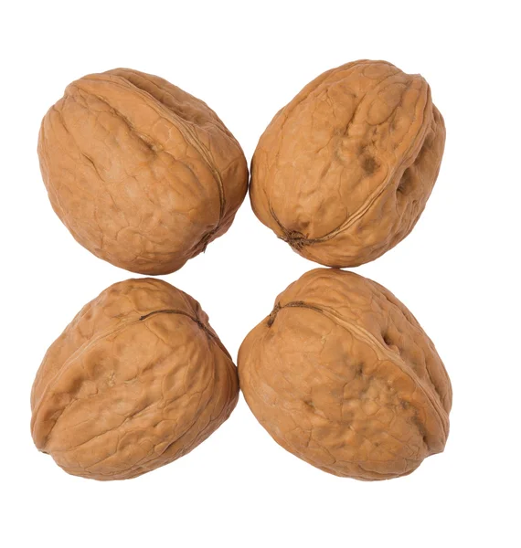 Грецкие орехи — стоковое фото