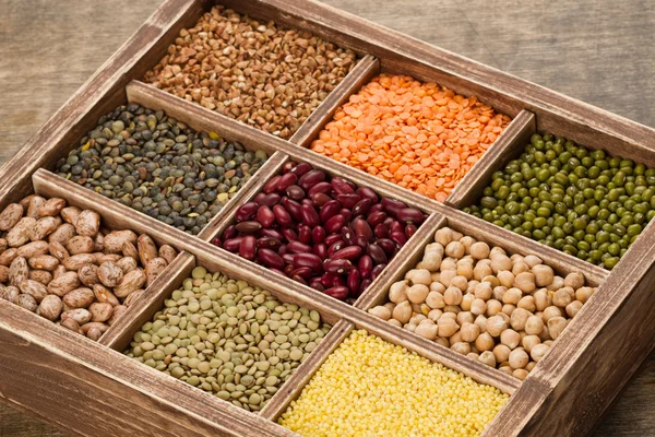 Mix from various legume — Stock Photo, Image