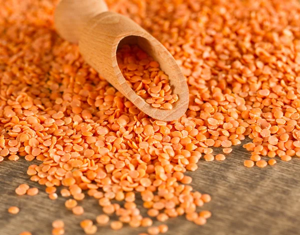 Red lentils — Stock Photo, Image