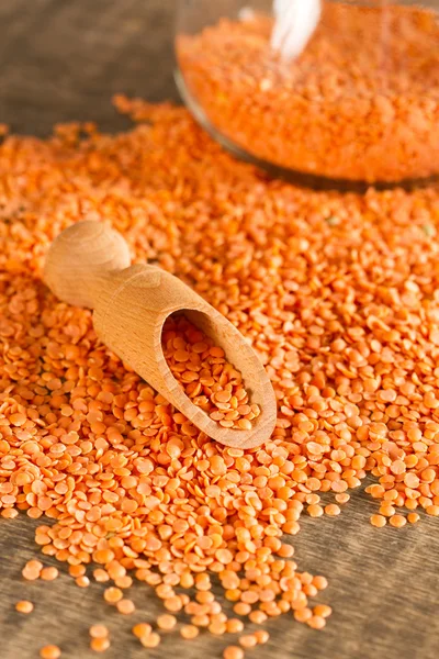 Red lentils — Stock Photo, Image