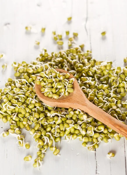Mung beans sprouts — Stock Photo, Image