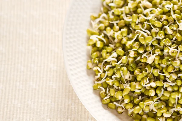 Mung beans sprouts — Stock Photo, Image