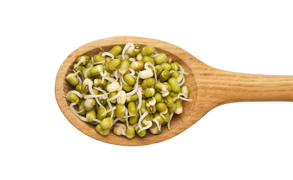 Mung beans sprouts — Stock Photo, Image