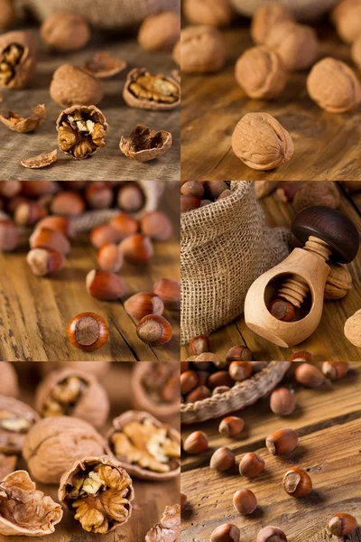 Walnuts and hazelnuts — Stock Photo, Image