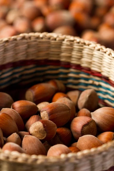 Hazelnuts — Stock Photo, Image