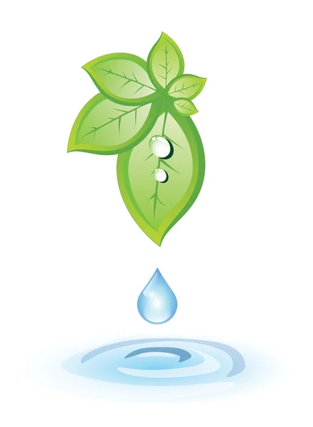 Hojas verdes con gota azul — Vector de stock