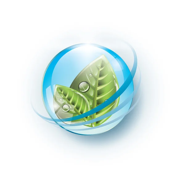 Eco glass sphere with leaves — Stock Vector