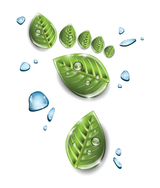 Green leaves footprint — Stock Vector