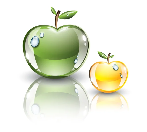 Två mogna äpplen — Stock vektor