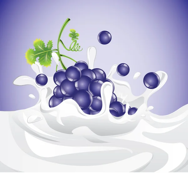 Uvas en la leche — Vector de stock