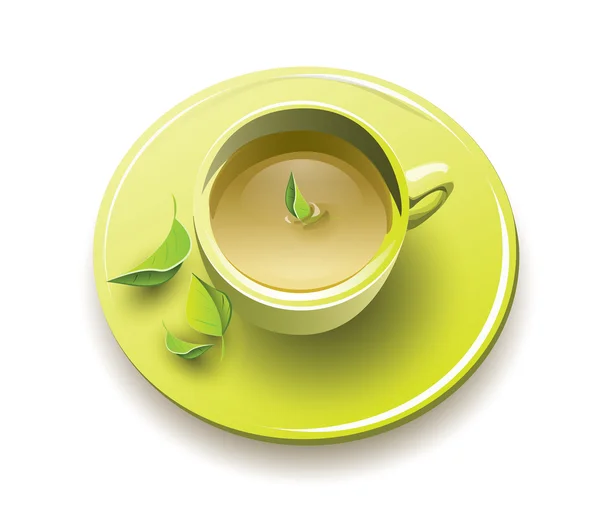 Organic green tea — Stock Vector