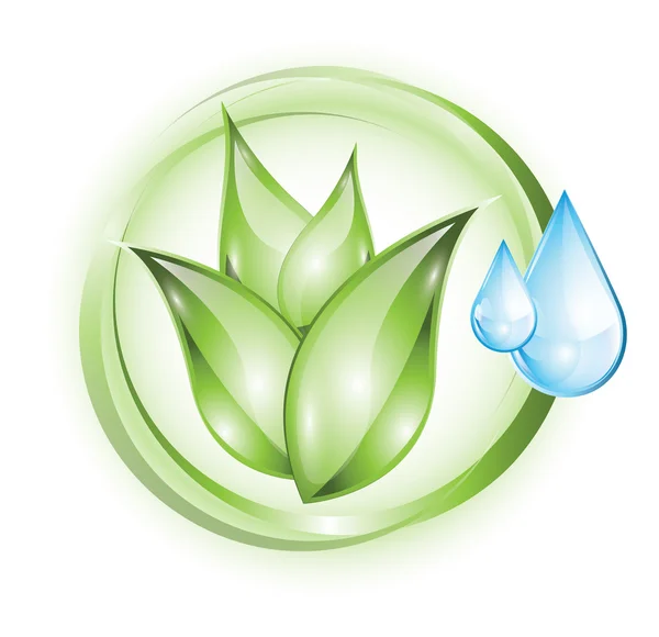 Plant icon with drops — Stock Vector