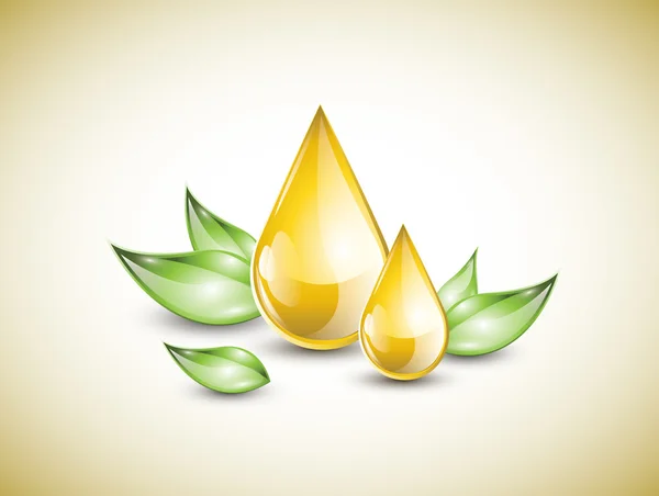 Gotas de óleo em folhas — Vetor de Stock