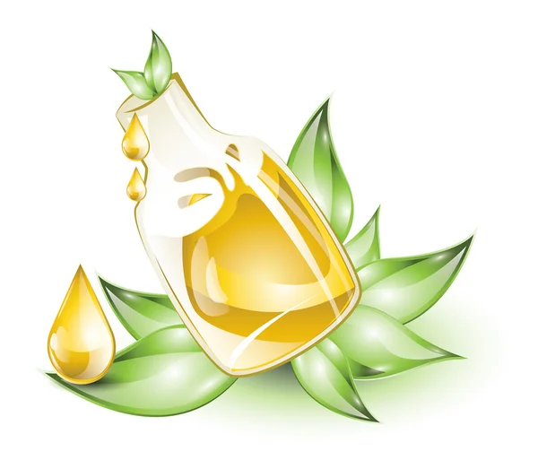 Essential oil in glass bottle — Stock Vector