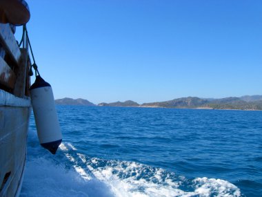 Türkiye'nin 2013