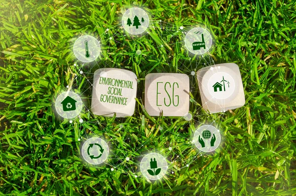 Kubussen Dobbelstenen Blokken Met Acroniem Esg Milieu Sociaal Bestuur Groen — Stockfoto