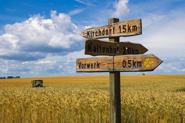 Señal Calle Carretera Envejecida Madera Poel Germany Mar Báltico Fotos De Stock Sin Royalties Gratis