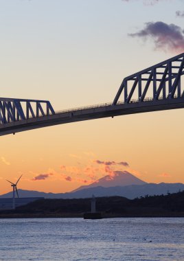 Tokyo gate Köprüsü