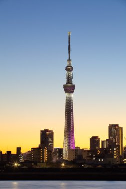 Tokyo Sky ağaç