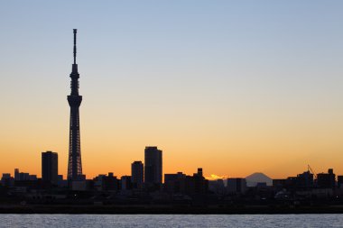 Tokyo Sky ağaç