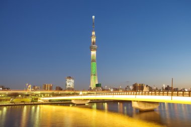tokyo şehir manzarası