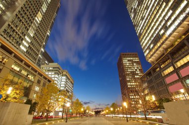Tokyo Marunouchi Noel ışıkları