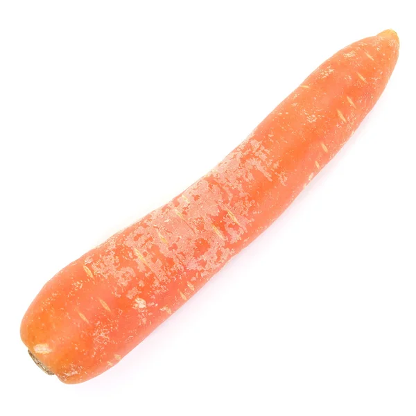 Una zanahoria dulce y fresca vegetal — Foto de Stock