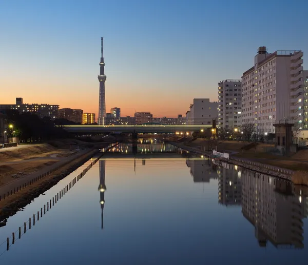 Tokyo небо дерево — стокове фото