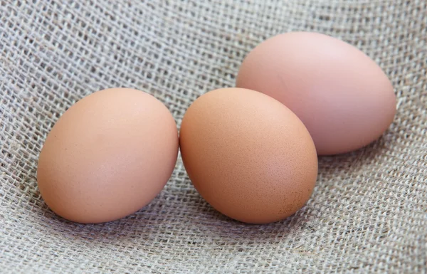 Chicken brown eggs — Stock Photo, Image