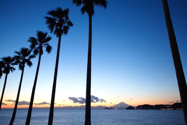 Palm trees on the background of a beautiful sunset — Stock Photo, Image