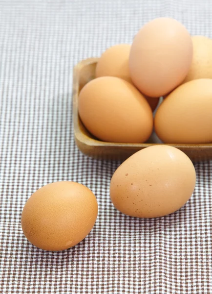 Chicken brown eggs — Stock Photo, Image