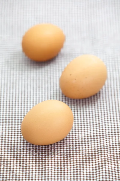 Chicken brown eggs — Stock Photo, Image