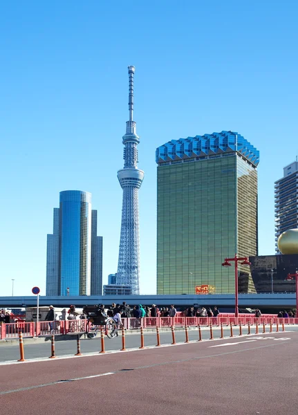 Tokyo небо дерево — стокове фото